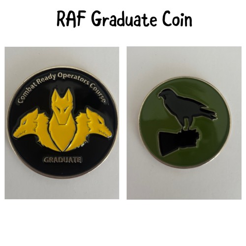 Raf challenge coin - challenge,
