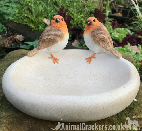 Bird bath feeder - bath, bowl