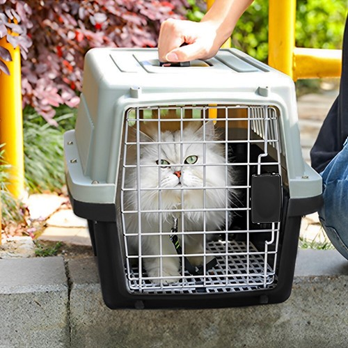 Large portable pet - carrier, box