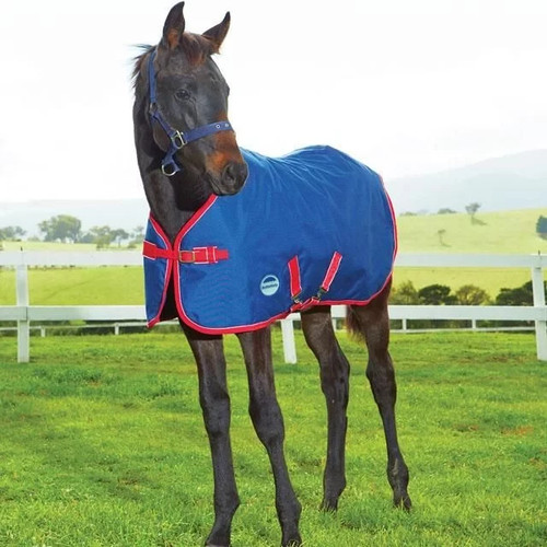 Weatherbeeta original 1200d - weatherbeeta,