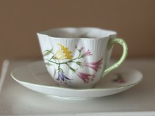 SHELLEY Freesia Dainty Shape