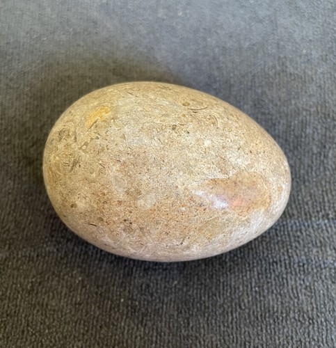 Polished fossil gemstone egg - polished,