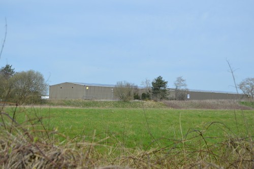 Photo 6x4 lympne park - photo,