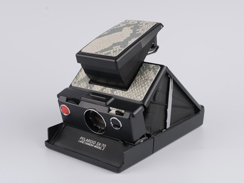 Polaroid model 600 - polaroid,