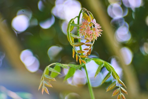 Micro four thirds - thirds, fit