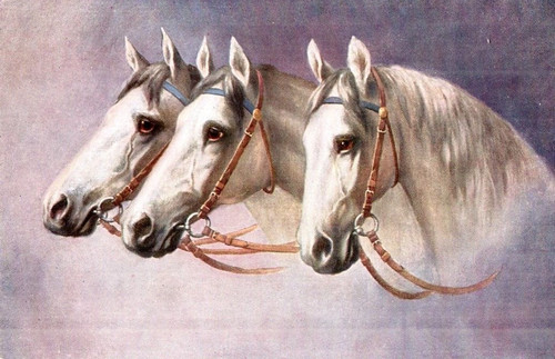 Vintage art postcard three - art, postcard: