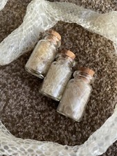 Corn Snake Skin Shed Glass