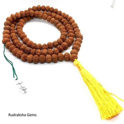 Mukhi seven facet rudraksha - seven,