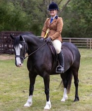 le beau cheval jacket