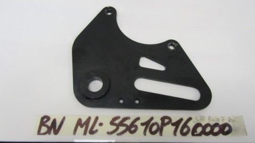 Rear brake caliper holder
