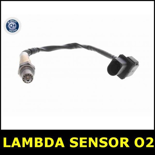 Lambda sensor before - before, cat