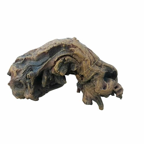 Mopani drift wood aquarium - mopani,