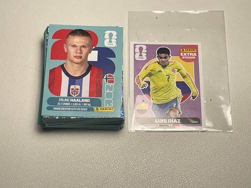 Panini fwc sticker - 26,