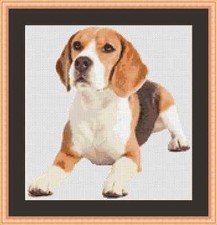 Beagle Dog Cross Stitch Kit