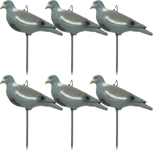 Painted full body pigeon - x,