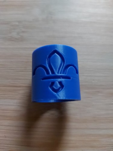 Scouting plastic blue - uk, fleur