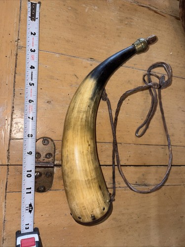 18th 19th century horn - 19th,