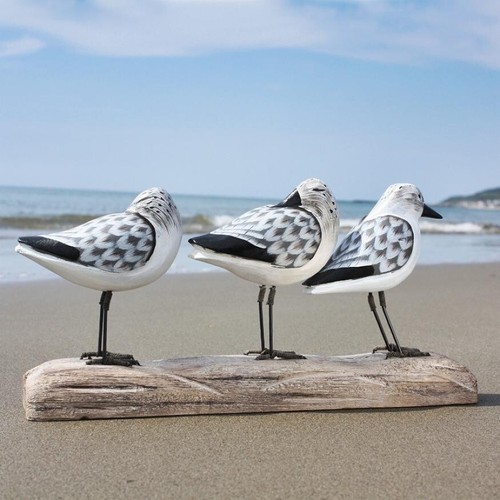 Sanderling bird carving - bird, |