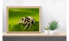 colorful wall art print