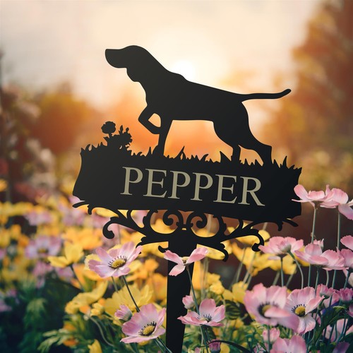 German shorthaired pointer - shorthaired,