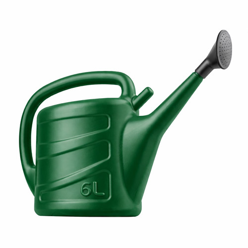 Watering can rose head - watering,