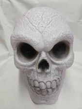Large light skull - large, up
