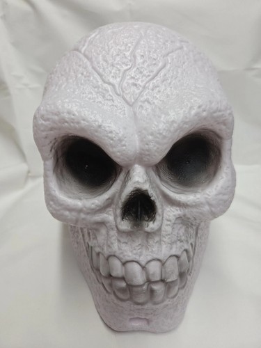 Large light skull - large,