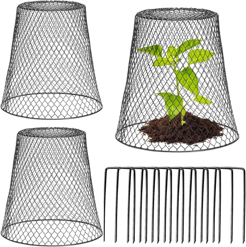 Ime plant protector - ime,