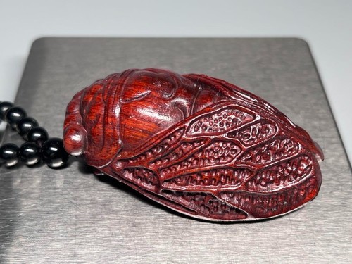 Japanese netsuke cicada - japanese,