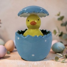Spring Chick Hatching Egg