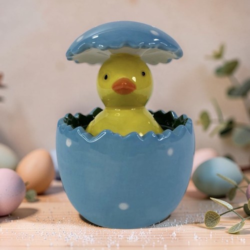 Spring chick hatching egg - hatching,