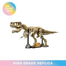 MOC 76968 Dinosaur Fossils