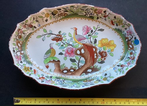 1900s spode pheasant pattern - spode,