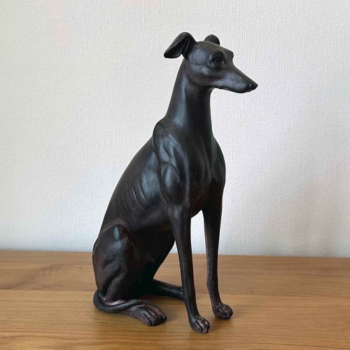 Greyhound whippet lurcher - whippet,