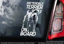 Patterdale Terrier - Car