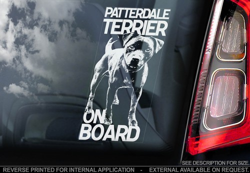 Patterdale terrier car - -,