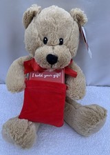 Bear with gift pocket
