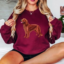 Irish Setter Dog Graphic