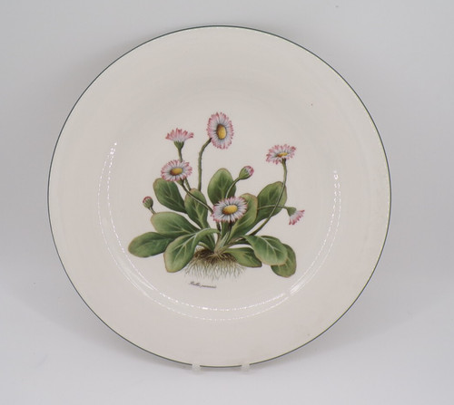 Vintage royal vale bellis - vintage,