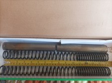 BMW R100R Mystic Fork Springs Pair