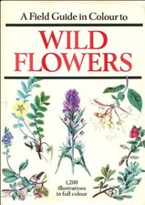 Field Guide in Colour to Wild Flowers By Dietmar Aichele