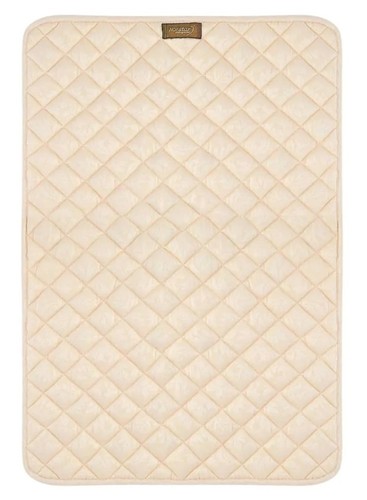 Norstar biomagnetics mini - biomagnetics,