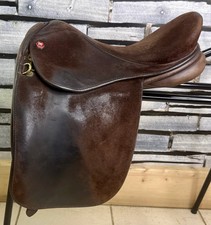 15” Wide Ryder Suede WH Pony