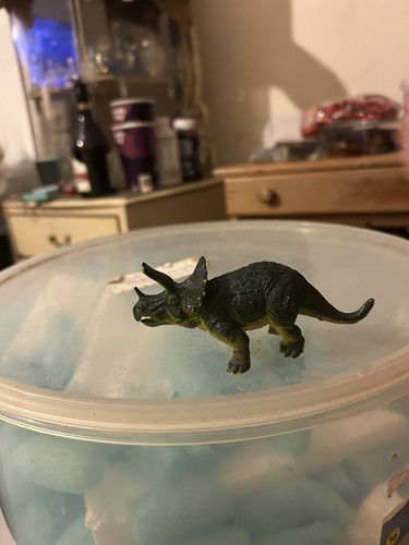 Toy triceratops - toy,