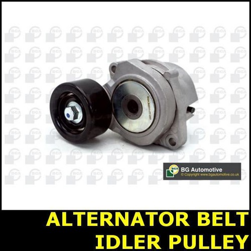 Ribbed belt idler pulley - belt,