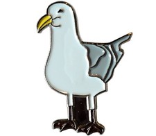Seagull Standing Bird Seaside