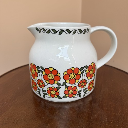 Taunton vale orange daisy - ,