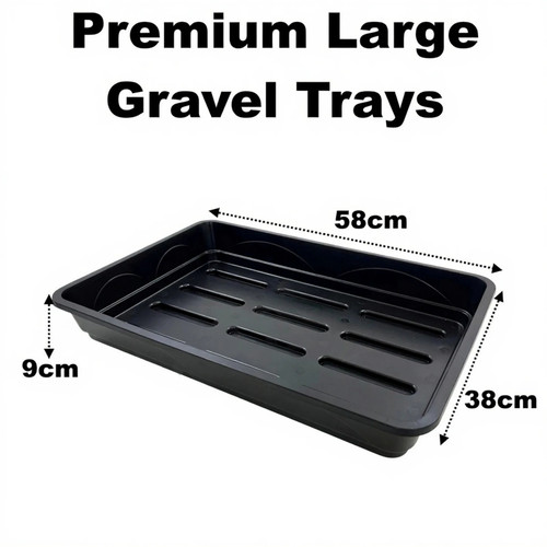 Large premium 58cm - premium, seed