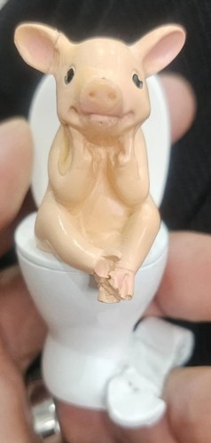 New cute toilet pig - new, statue