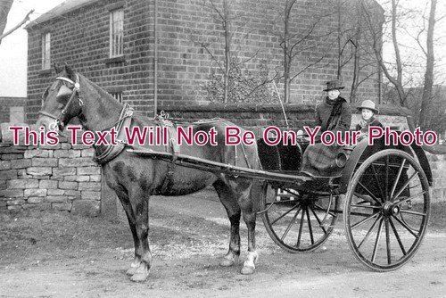 13816 horse trap at - -,
